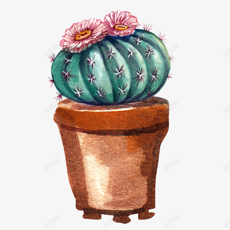 水彩仙人掌盆栽插画免扣Bonus09涂设计png_新图网 https://ixintu.com 水彩 仙人掌 盆栽 插画 免扣 Bonus09 设计