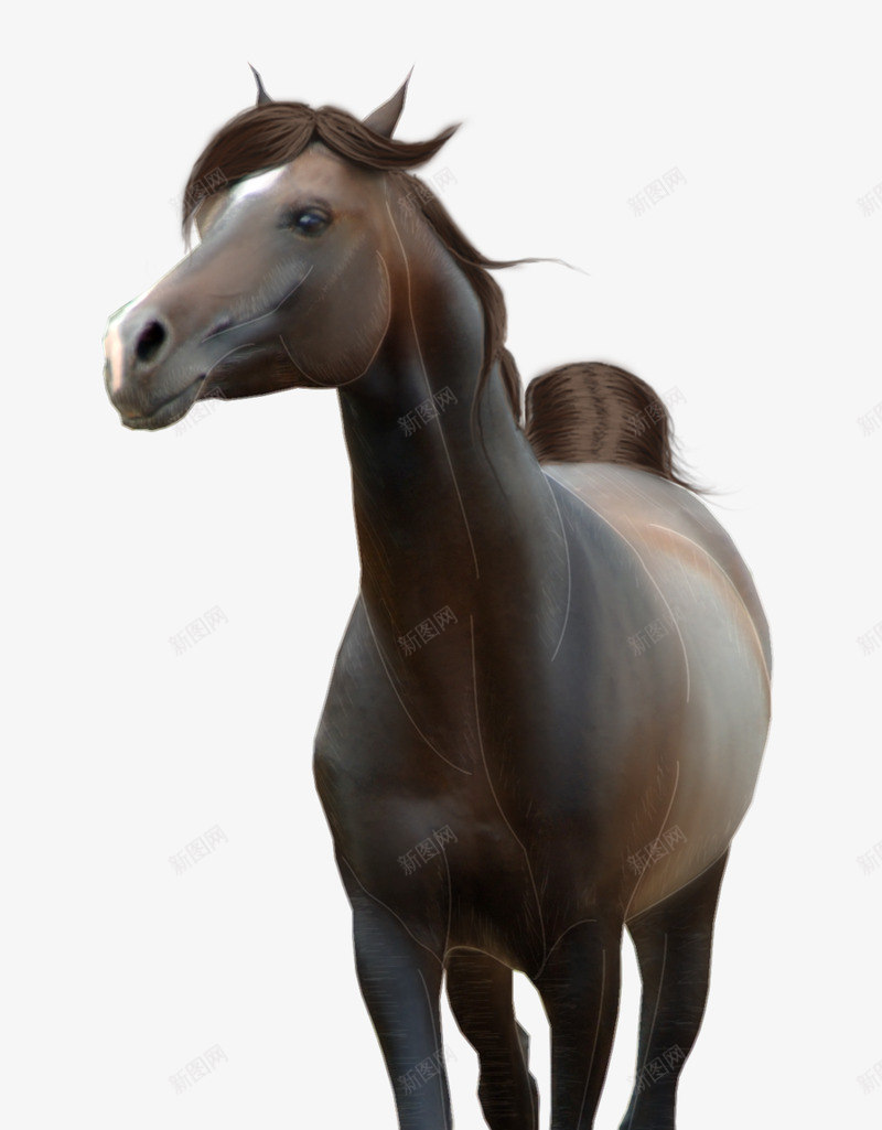 马匹骏马免扣透明7动物昆虫免扣动物大型动物小型宠物png免抠素材_新图网 https://ixintu.com 动物 免扣 马匹 骏马 透明 昆虫 大型 小型 宠物