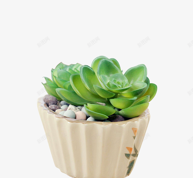 植物盆菜室内S树叶装饰png免抠素材_新图网 https://ixintu.com 植物 盆菜 室内 树叶 装饰