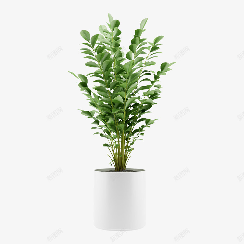 植物盆栽盆景没有故事的七月盆栽植物无透明盆栽盆景植png免抠素材_新图网 https://ixintu.com 盆栽 植物 盆景 没有 故事 七月 透明