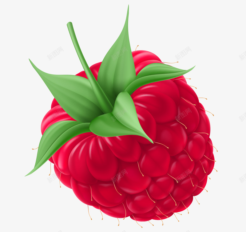 蔬菜水果覆盆子蔬菜水果食物png免抠素材_新图网 https://ixintu.com 蔬菜水果 覆盆 盆子 食物