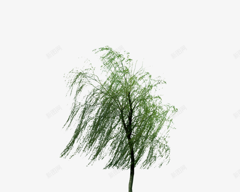 中国古风水墨柳树柳枝透明后期美化装饰设计124中国png免抠素材_新图网 https://ixintu.com 中国 古风 水墨 柳树 柳枝 透明 后期 美化 装饰设计