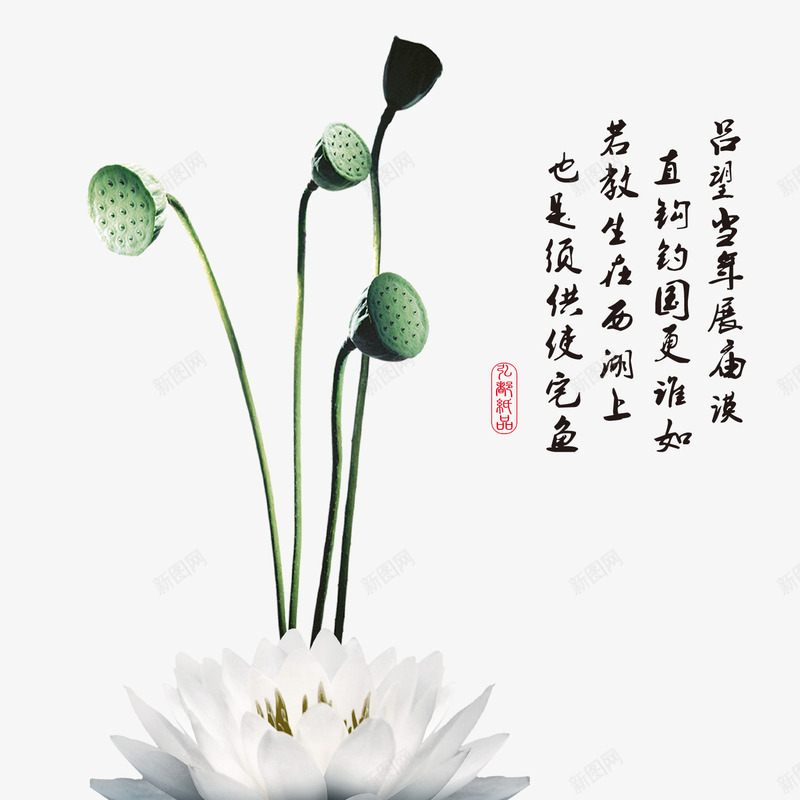 中国古风水墨花手绘水彩植物花卉装饰透明ps268中png免抠素材_新图网 https://ixintu.com 中国 古风 水墨 手绘 水彩 植物 花卉 装饰 透明 ps268