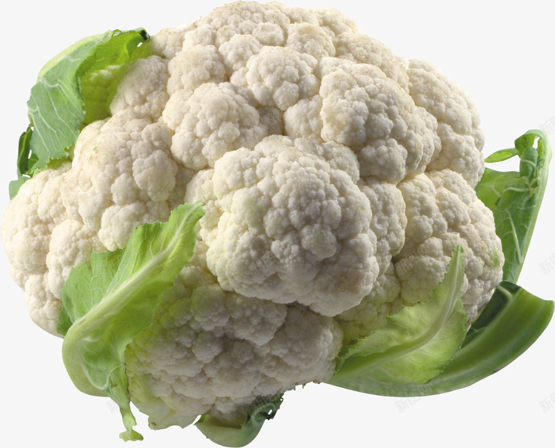 免扣蔬菜菜花ABC输入法瓜果食物png免抠素材_新图网 https://ixintu.com 免扣 蔬菜 菜花 ABC 输入法 瓜果 食物