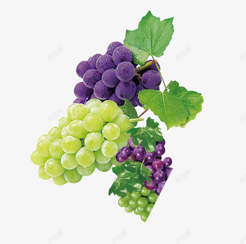 葡萄提子菠萝薄荷叶橙子柠檬水果合成png免抠素材_新图网 https://ixintu.com 提子 柠檬 柠檬水 橙子 水果 荷叶 菠萝 葡萄 薄荷