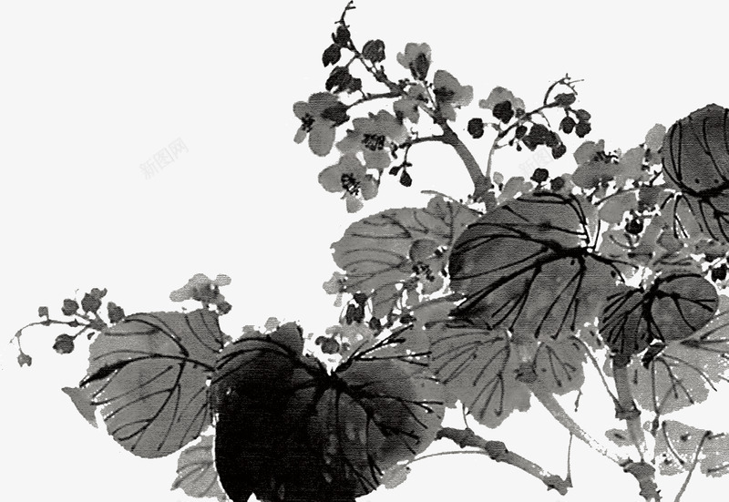 中国古风水墨花手绘水彩植物花卉装饰透明ps290中png免抠素材_新图网 https://ixintu.com 中国 古风 水墨 手绘 水彩 植物 花卉 装饰 透明 ps290
