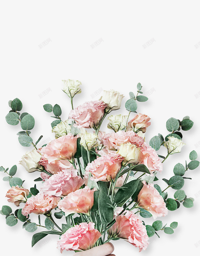 植物花朵花圈花框免扣wwwdengoonetwwwpng_新图网 https://ixintu.com 植物 花朵 花圈 花框 免扣 wwwdengoonetwww