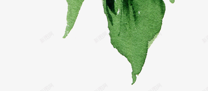 的旅程水彩绿叶树叶海边沙滩植物叶子芭蕉叶小清png免抠素材_新图网 https://ixintu.com 叶子 叶小清 旅程 树叶 植物 水彩 沙滩 海边 绿叶 芭蕉