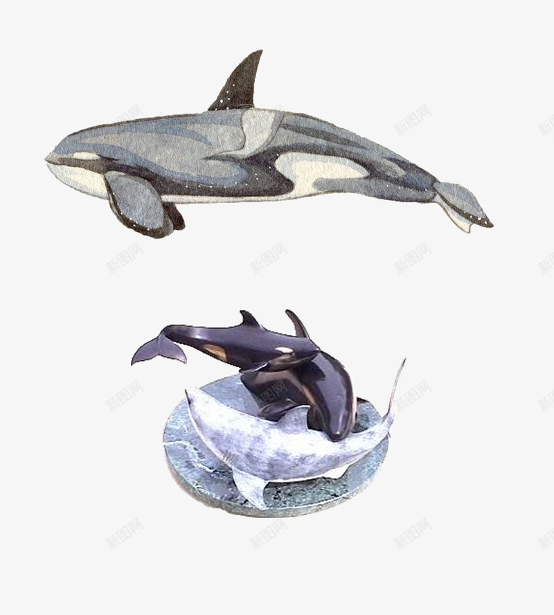 水彩手绘童话海洋鲸鱼卡通装饰PS透明高清37水彩手png免抠素材_新图网 https://ixintu.com PS 卡通 手绘 水彩 海洋 童话 素描鲸鱼 装饰 透明 高清 鲸鱼