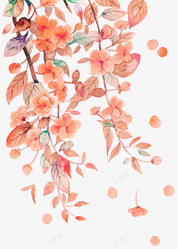 中国古风水墨花手绘水彩植物花卉装饰透明ps312中png免抠素材_新图网 https://ixintu.com 中国 古风 水墨 手绘 水彩 植物 花卉 装饰 透明 ps312