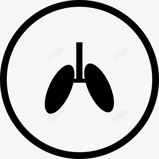 内脏脂肪svg_新图网 https://ixintu.com 内脏 脂肪