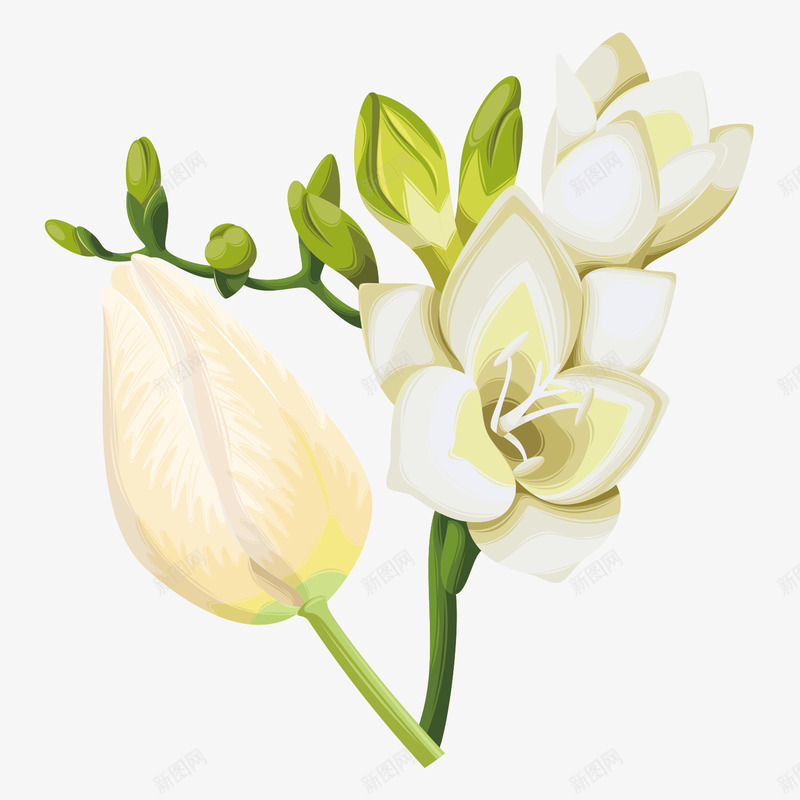 鲜花花卉水彩卡通免扣字幕平面对话框字幕条卡通手绘png免抠素材_新图网 https://ixintu.com 卡通 字幕 鲜花 花卉 水彩 免扣 平面 对话框 手绘