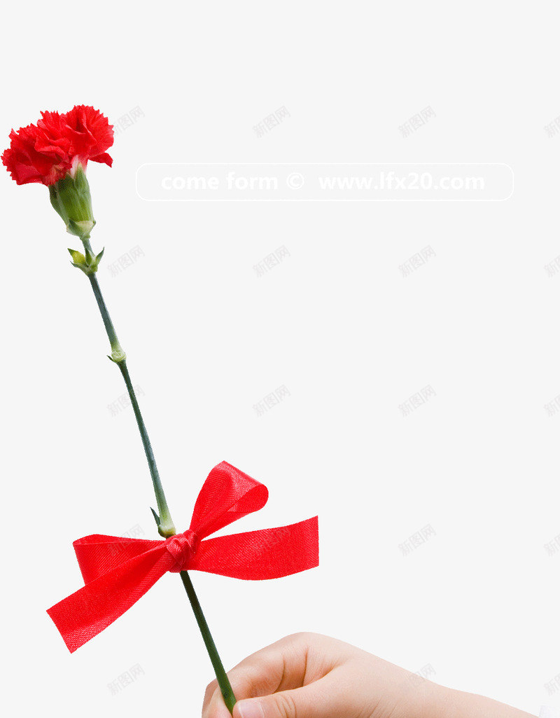 高清免扣表白献花免扣png免抠素材_新图网 https://ixintu.com 免扣 高清 表白 献花