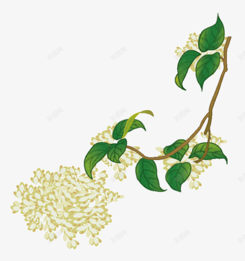 水彩手绘桂花中国古风中秋唯美装饰透明ps55水彩手png免抠素材_新图网 https://ixintu.com 水彩 手绘 桂花 中国 古风 中秋 唯美 装饰 透明 ps55