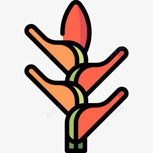 螺旋花热带花3线形颜色svg_新图网 https://ixintu.com 螺旋 热带 线形 颜色