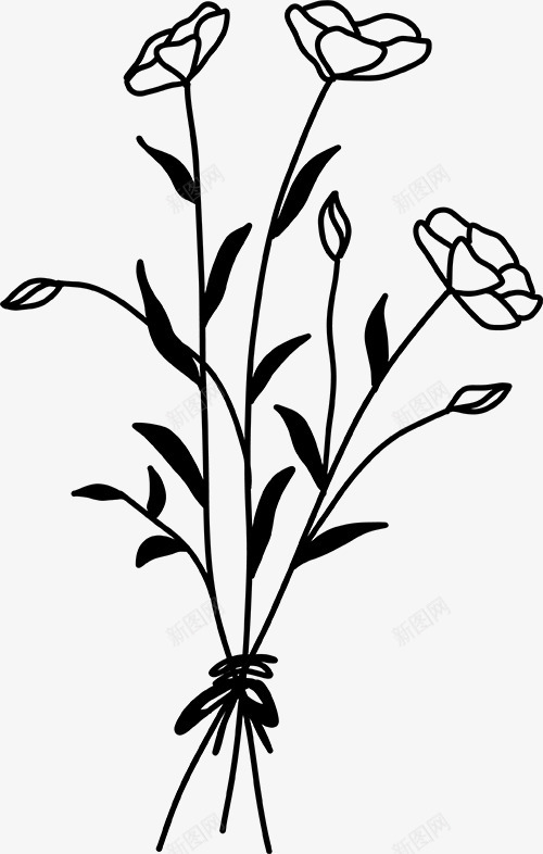 花卉植物插图图免扣绿植高清png免抠素材_新图网 https://ixintu.com 花卉 植物 插图 图免 绿植 高清