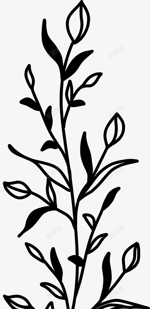 花卉植物插图图免扣绿植高清png免抠素材_新图网 https://ixintu.com 花卉 植物 插图 图免 绿植 高清