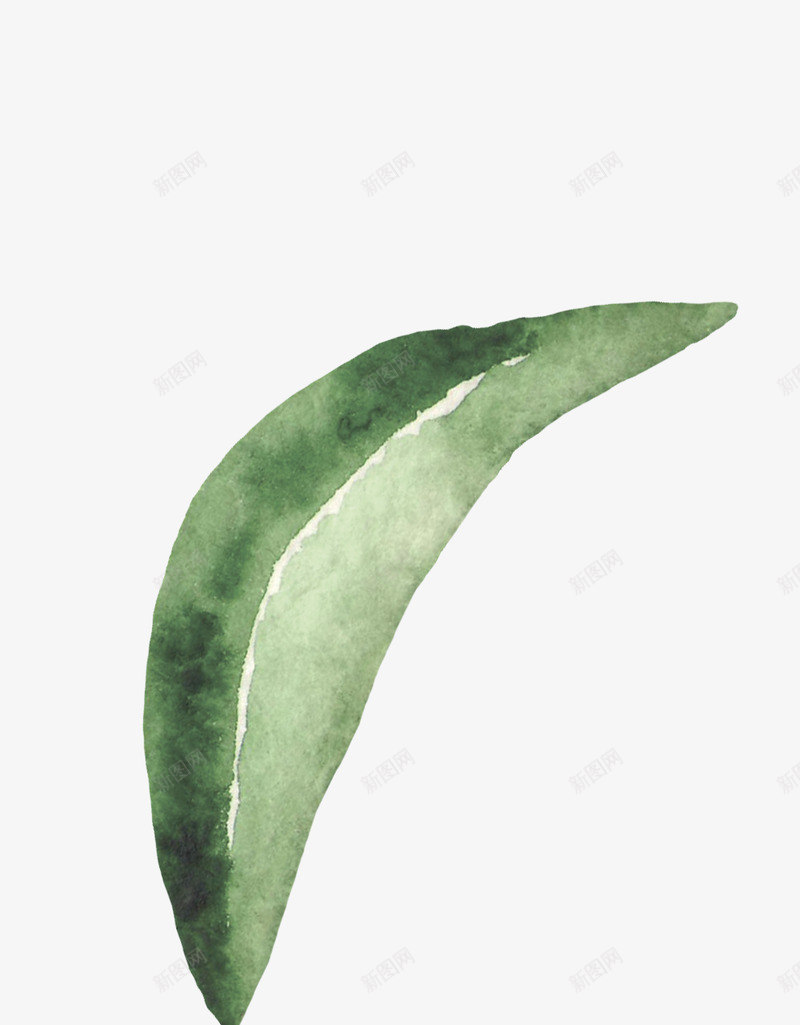 水彩手绘卡通可爱墨西哥动物卡片装饰印刷图案设计64png免抠素材_新图网 https://ixintu.com 水彩 手绘 卡通 可爱 墨西哥 动物 卡片 装饰 印刷 图案 设计