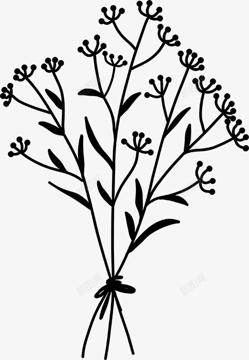 花卉植物插图图免扣绿植高清png免抠素材_新图网 https://ixintu.com 花卉 植物 插图 图免 绿植 高清