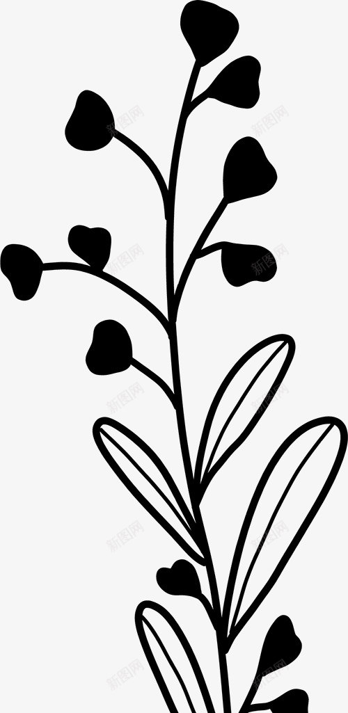 花卉植物插图图免扣绿植高清png免抠素材_新图网 https://ixintu.com 花卉 植物 插图 图免 绿植 高清