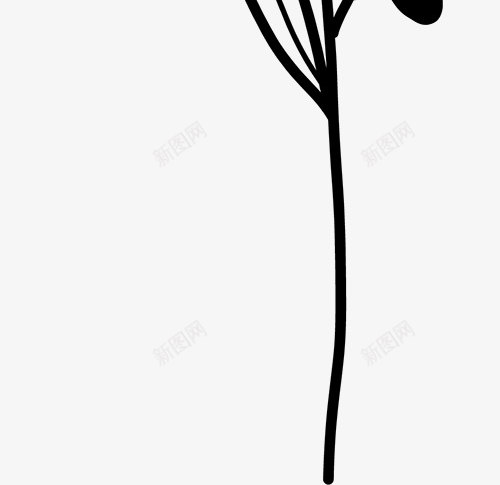 花卉植物插图图免扣绿植高清png免抠素材_新图网 https://ixintu.com 花卉 植物 插图 图免 绿植 高清