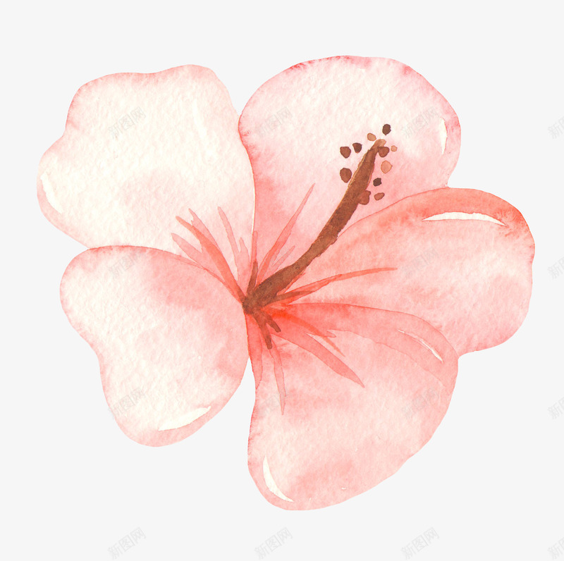夏日水彩火烈鸟植物花卉唯美透明图案PS手账27夏日png免抠素材_新图网 https://ixintu.com 夏日 水彩 火烈 烈鸟 植物 花卉 唯美 透明 透明图 图案 PS