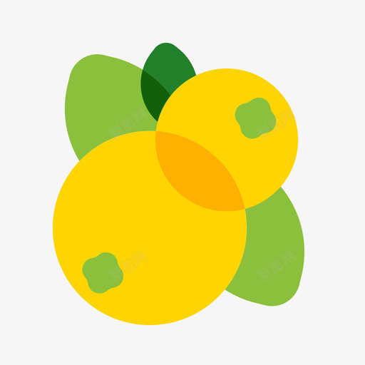 枇杷svg_新图网 https://ixintu.com 枇杷