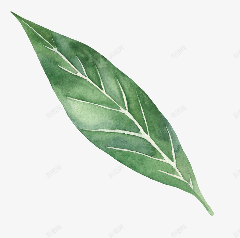 夏日水彩火烈鸟植物花卉唯美透明图案PS手账43夏日png免抠素材_新图网 https://ixintu.com 夏日 水彩 火烈 烈鸟 植物 花卉 唯美 透明 透明图 图案 PS