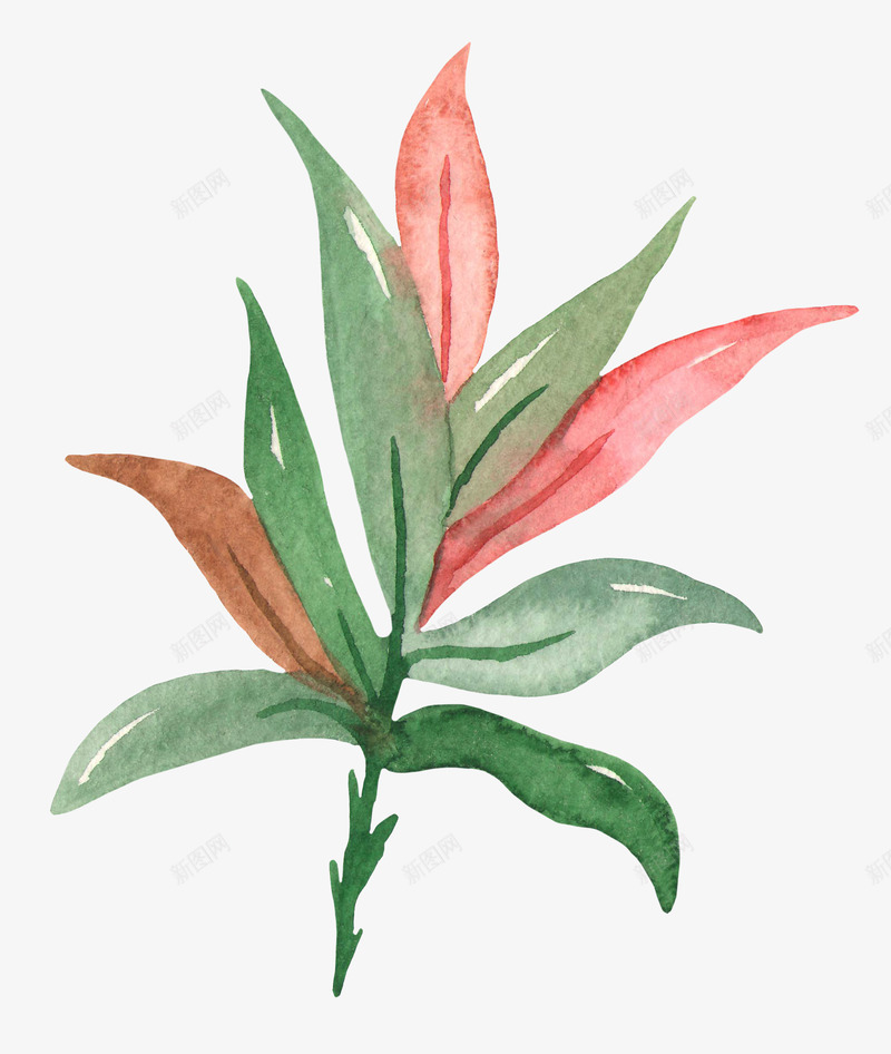 夏日水彩火烈鸟植物花卉唯美透明图案PS手账35夏日png免抠素材_新图网 https://ixintu.com 夏日 水彩 火烈 烈鸟 植物 花卉 唯美 透明 透明图 图案 PS
