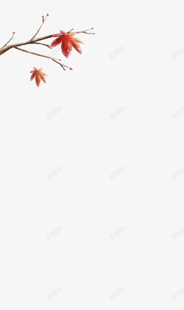 下雪了枫叶红了png免抠素材_新图网 https://ixintu.com 霜降 枫叶 下雪 叶子