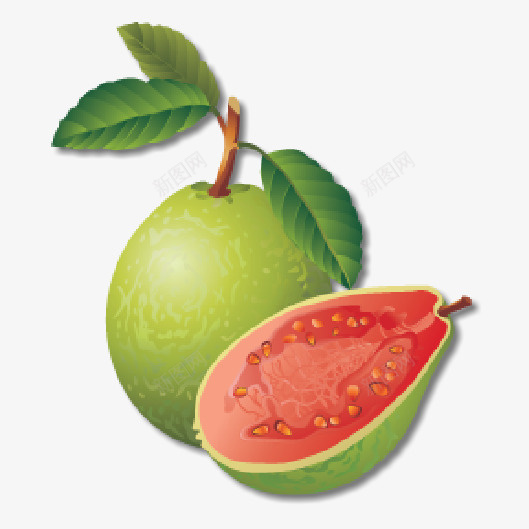 手绘水果高清素材png免抠素材_新图网 https://ixintu.com png 手绘 水果 素材