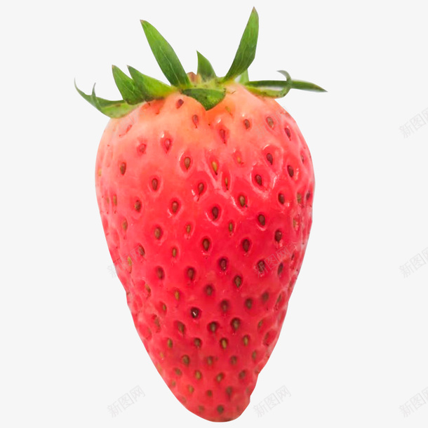 站着的大草莓png免抠素材_新图网 https://ixintu.com 草莓 大草莓 红色 水果