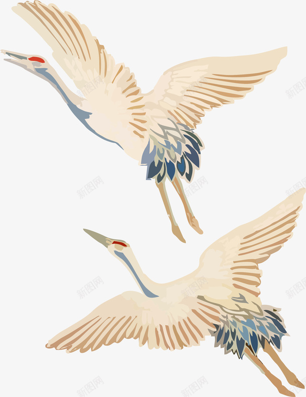 两只手绘白鹤卡通元素png免抠素材_新图网 https://ixintu.com 两只 卡通元素 手绘 白鹤 白鹤展翅
