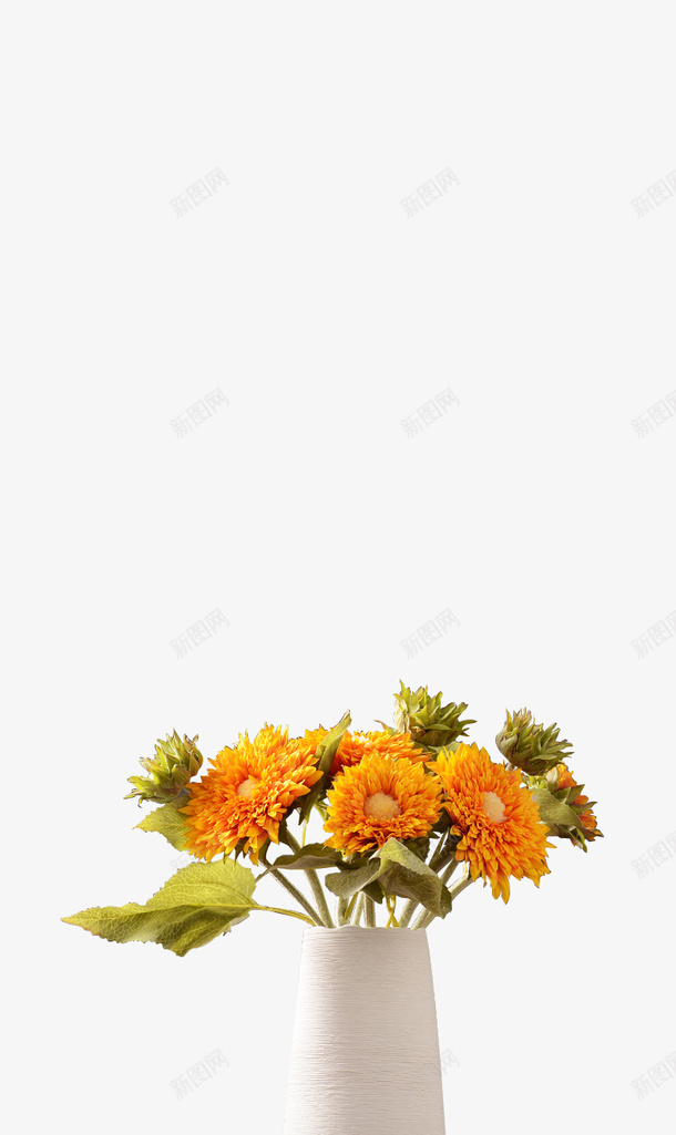 不知道什么花瓶png免抠素材_新图网 https://ixintu.com 绿色 小植物 花瓶 植物