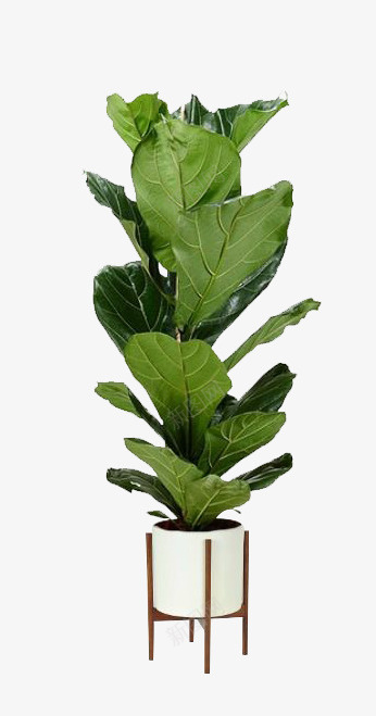 绿色植物和金属花盆png免抠素材_新图网 https://ixintu.com 北欧风 ins风格金属 植物 装饰