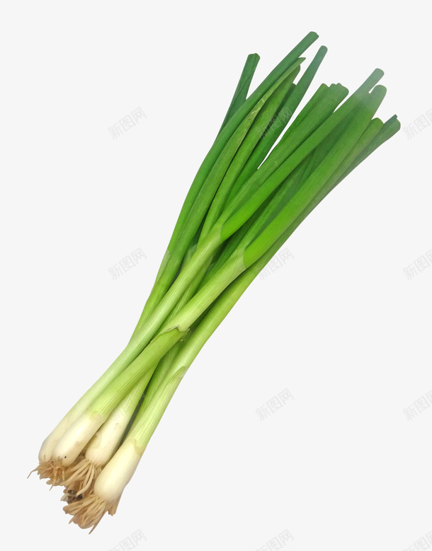 自然蔬菜食物美味葱png免抠素材_新图网 https://ixintu.com 自然 蔬菜 食物 美味