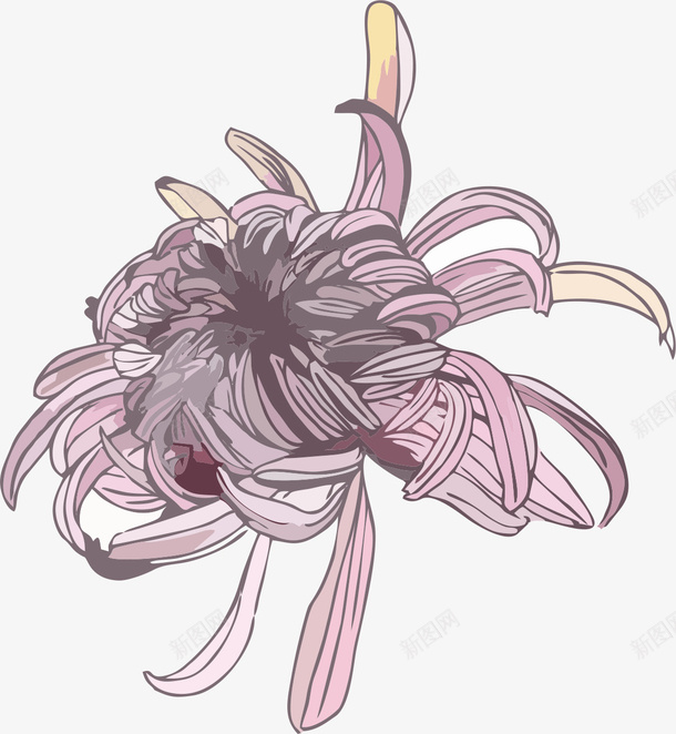 赏菊菊花卡通手绘插画png免抠素材_新图网 https://ixintu.com 赏菊 菊花 卡通 手绘插画