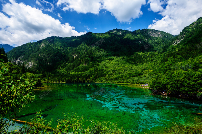 四川九寨沟美景高清图片jpg设计背景_新图网 https://ixintu.com 四川 九寨沟 美景 背景素材