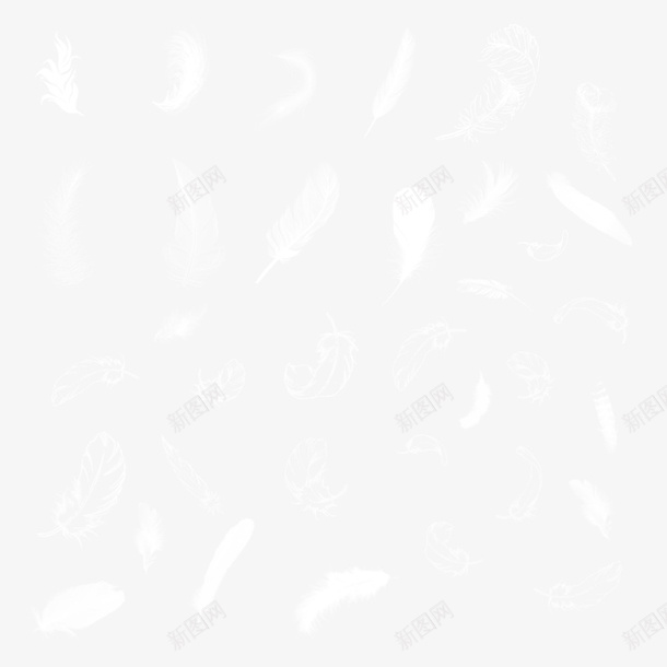 羽毛素材免抠png免抠素材_新图网 https://ixintu.com 免抠 漂浮 白羽毛 白色 羽毛 飘逸的羽毛