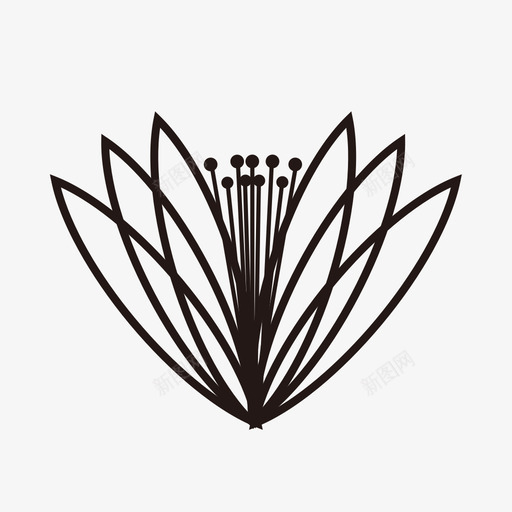 金银花svg_新图网 https://ixintu.com 金银花