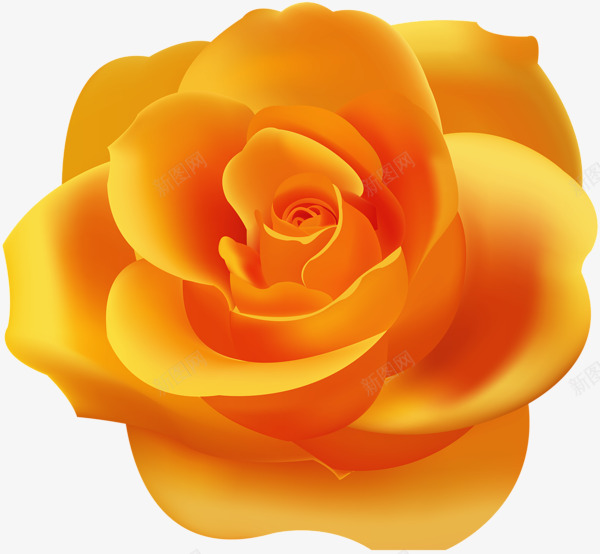 rose66815600554手绘T2020523png免抠素材_新图网 https://ixintu.com rose66815600554 手绘 T2020523