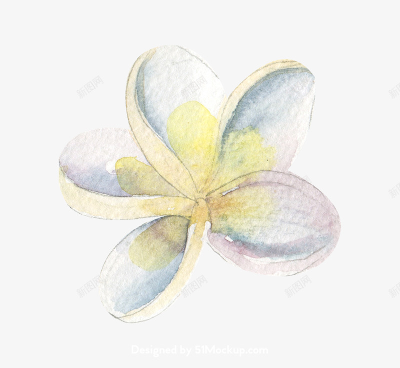 水彩树叶花瓣超高清免扣插图42花草png免抠素材_新图网 https://ixintu.com 水彩 树叶 花瓣 超高 高清 免扣 插图 花草