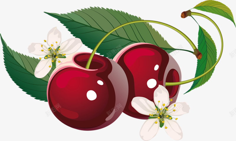 fruits8YakimenkoInna1970蔬png_新图网 https://ixintu.com fruits8YakimenkoInna1970
