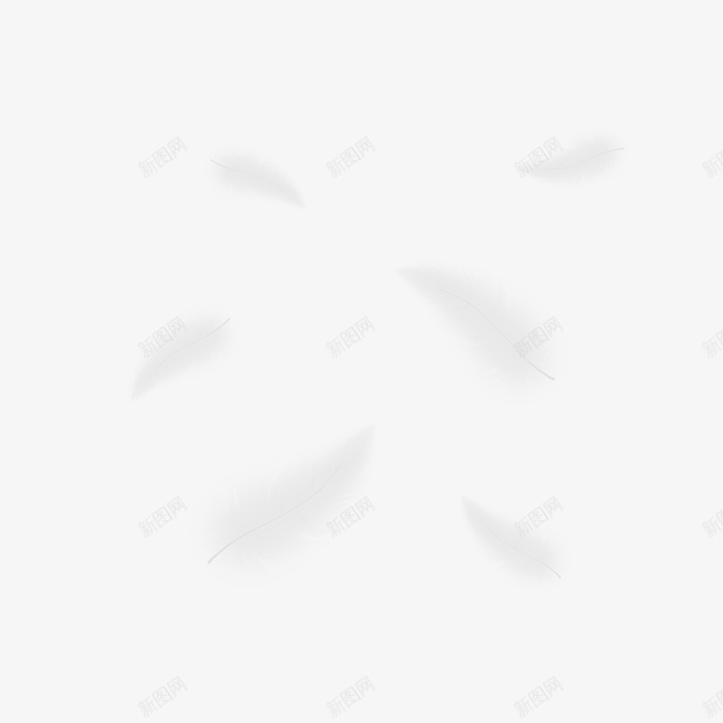 PS高清唯美羽毛透明PSD影楼婚纱照后期羽毛PS高png免抠素材_新图网 https://ixintu.com 羽毛 高清 唯美 透明 影楼 婚纱照 后期
