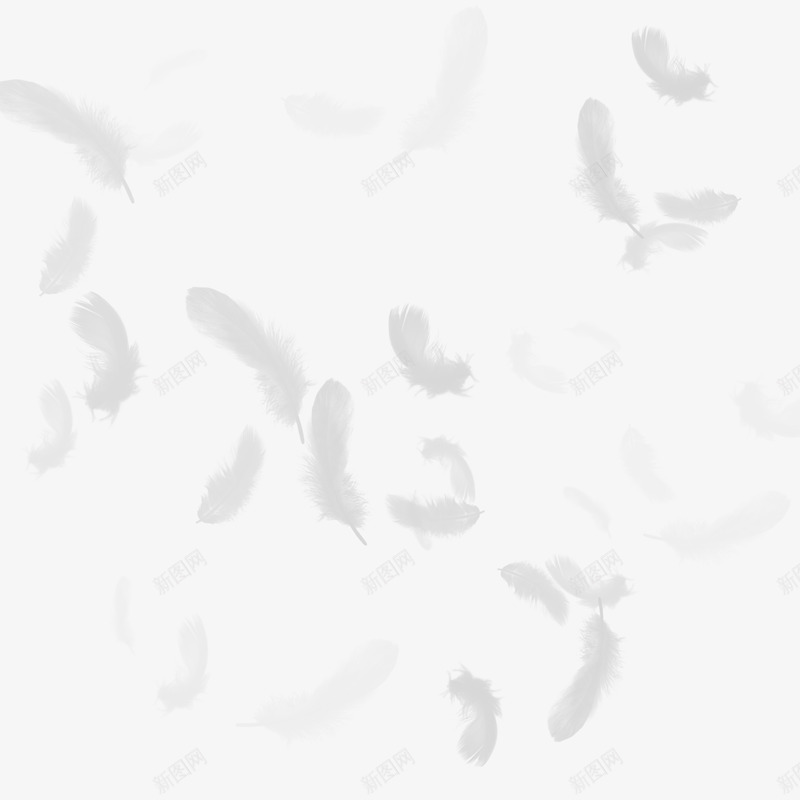 PS高清唯美羽毛透明PSD影楼婚纱照后期羽毛PS高png免抠素材_新图网 https://ixintu.com 羽毛 高清 唯美 透明 影楼 婚纱照 后期
