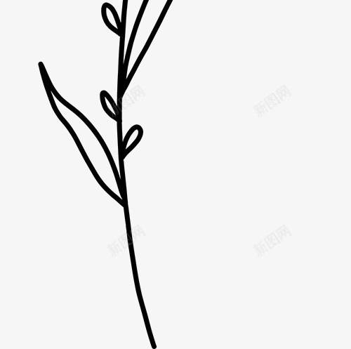 花卉植物插图图免扣绿植高清png免抠素材_新图网 https://ixintu.com 花卉 植物 插图 图免 绿植 高清