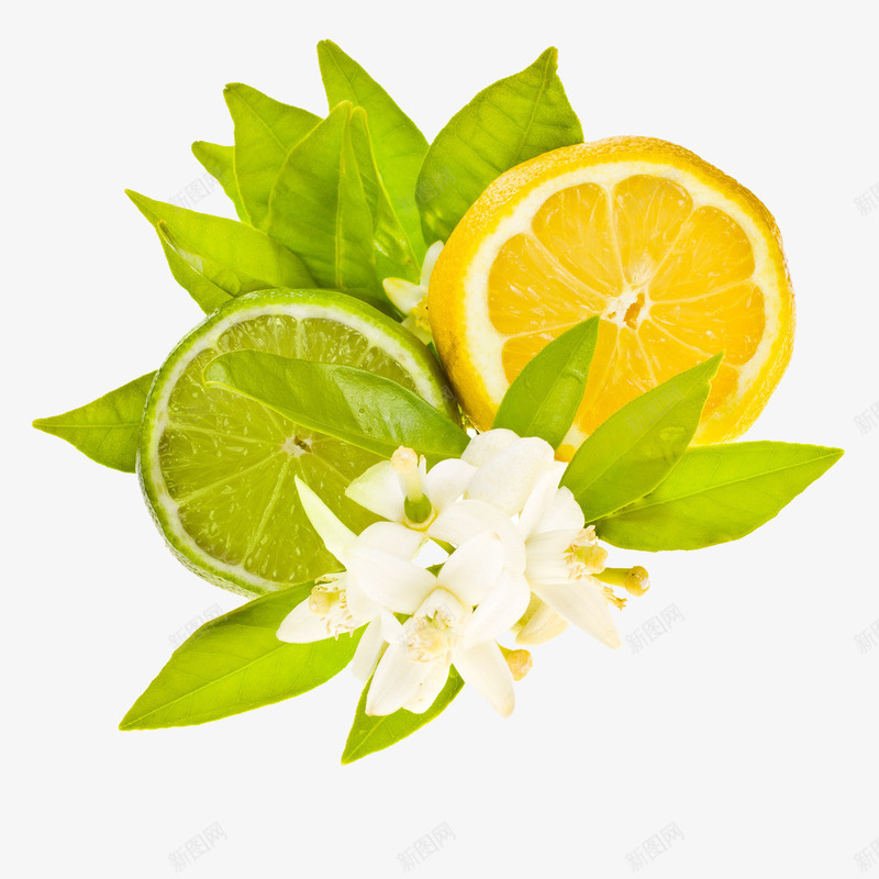 免扣黄色柠檬食物蔬菜水果坚果png免抠素材_新图网 https://ixintu.com 免扣 黄色 柠檬 食物 蔬菜水果 坚果
