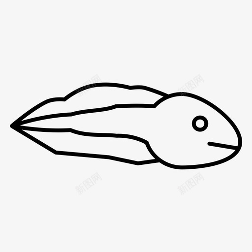 蝌蚪青蛙青蛙发育svg_新图网 https://ixintu.com 发育 小蝌蚪 小蝌蚪卡通 生长 蜕变 蝌蚪 进化 青蛙