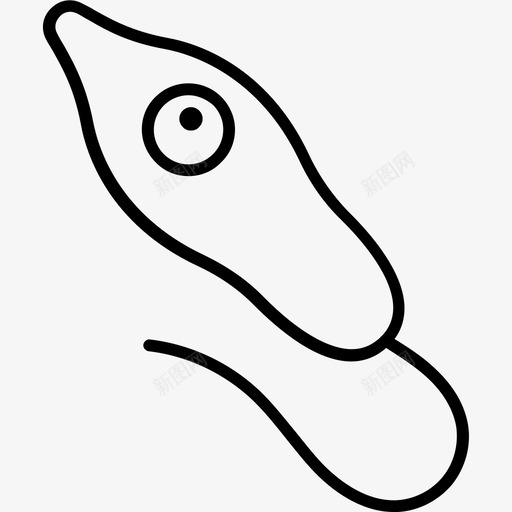 绿眼虫生物学科学svg_新图网 https://ixintu.com 绿眼 科学 生物学