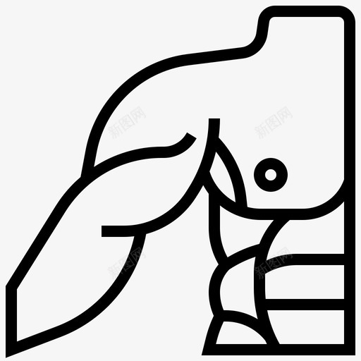 肌肉人体器官15线状svg_新图网 https://ixintu.com 肌肉 人体 器官 线状